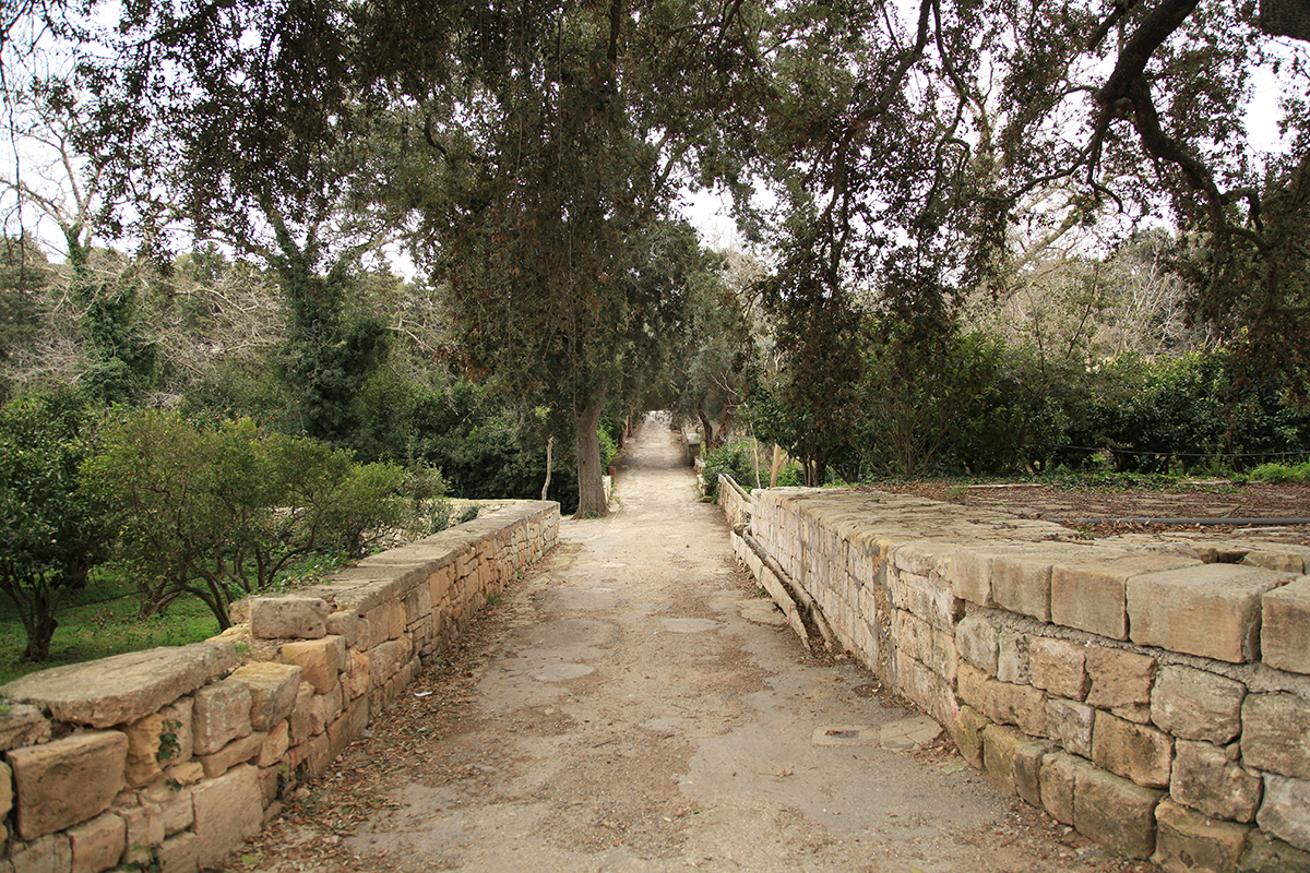 Buskett Garden Malta