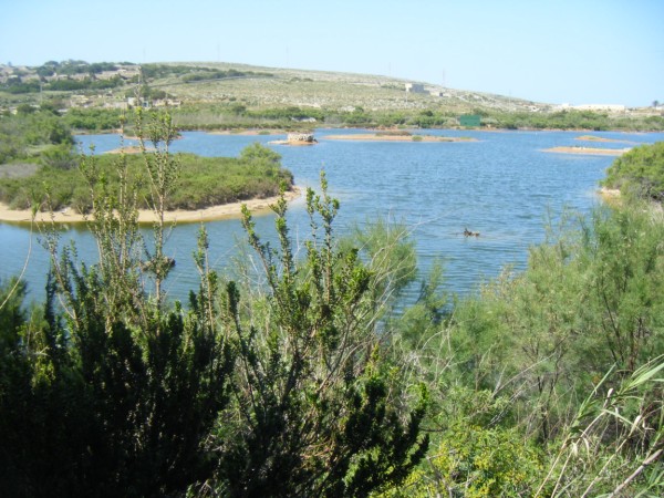 Ghadira Nature Malta